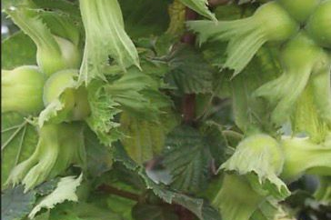 “FINDIĞINIZA SAHİP ÇIKIN!”