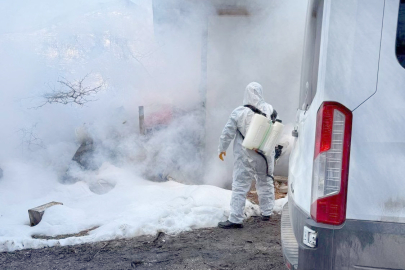ORDU’DA KOKARCA OPERASYONU!