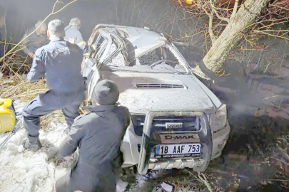 KAMYONET FINDIK BAHÇESİNE YUVARLANDI, 3 YARALI