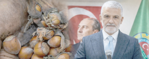 “FINDIKTA OYUN BÜYÜK!”