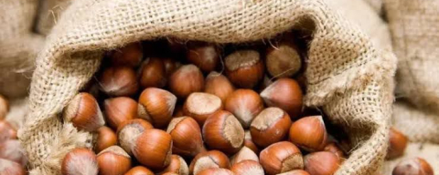 FİSKOBİRLİK FİYATI YİNE AŞAĞI ÇEKTİ!