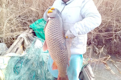 AV YASAĞI 1 NİSANDA BAŞLIYOR