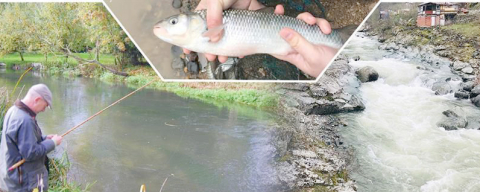 AV YASAĞI 1 NİSANDA BAŞLIYOR