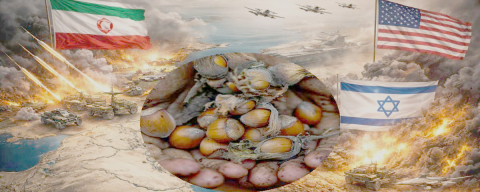 HER ŞEY UÇTU, FINDIK ÇAKILDI!