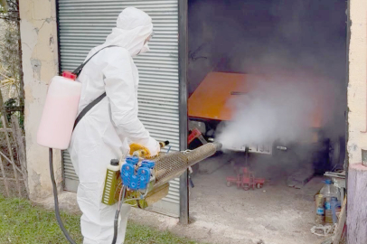 KOKARCA İLE MÜCADELE SONUÇ VERDİ