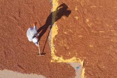 FINDIK 180 TL’YE DÜŞTÜ!