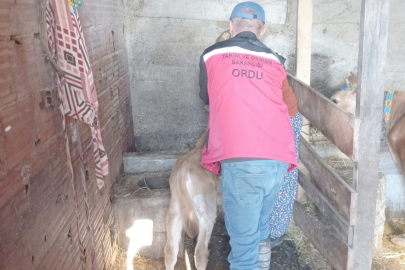 SALGIN RİSKİNE KARŞI ERKEN HAMLE GELİYOR