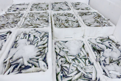 KAÇAK AVCILIĞA GEÇİT YOK!