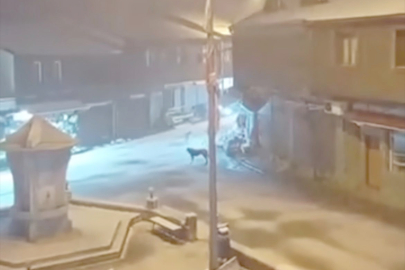 ORDU’DA NİSAN’DA GELEN KAR SÜRPRİZİ