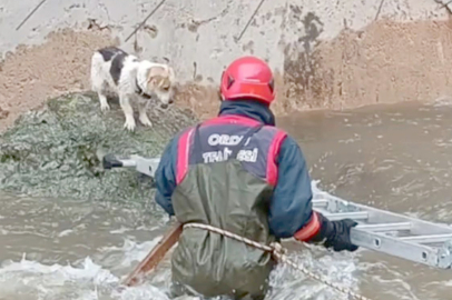 ÇAYIN ORTASINDA MAHSUR KALAN KÖPEĞİ İTFAİYE EKİPLERİ KURTARDI 