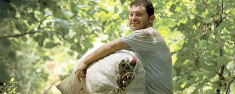 FINDIKTA KİRLİ HESAPLAR YİNE VE YİNE DEVREDE!