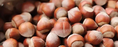 ORDU’YA ZİRAİ DON UYARISI!