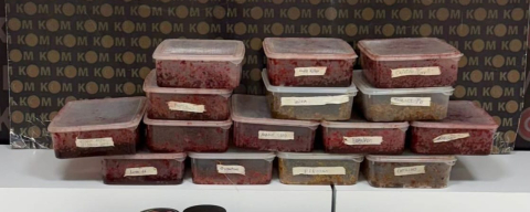 ORDU’DA BÜYÜK OPERASYON!