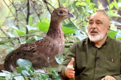 “SALINAN SÜLİNLER YIRTICILARA YEM OLDU”