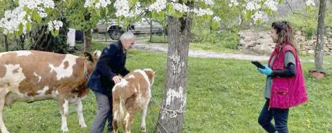 AŞILAMA ÇALIŞMALARI SÜRÜYOR