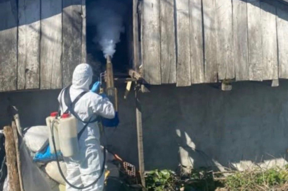 KAHVERENGİ KOKARCA MÜCADELESİ SÜRÜYOR