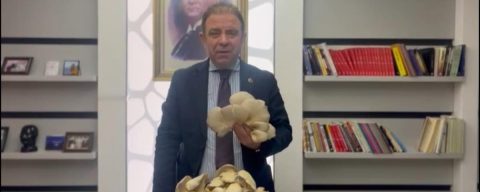 MANTAR ÜRETİMİNDE İLK HASAT SEVİNCİ