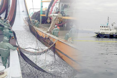 DENİZLERDE 15 NİSAN’DA GENEL AV YASAĞI BAŞLIYOR