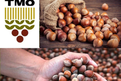 “FINDIKTA OYUNU TMO BOZACAK”