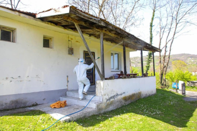 KOKARCA SAVAŞI SÜRÜYOR