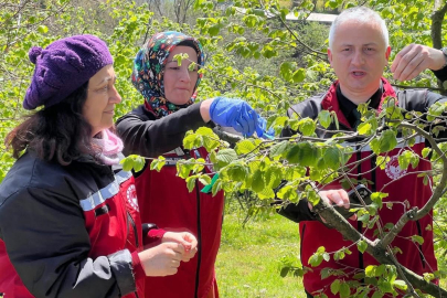 ÇİFTÇİYE SAHADA EĞİTİM VERİLİYOR
