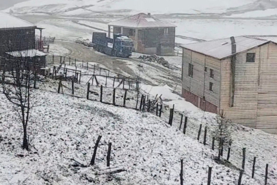 YAYLALAR BAHARDA BEYAZA BÜRÜNDÜ!