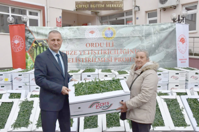 ORDU’DA 31 BİN FİDE DAĞITILDI