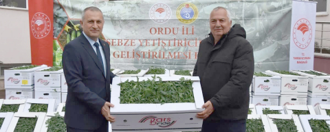 ORDU’DA 31 BİN FİDE DAĞITILDI