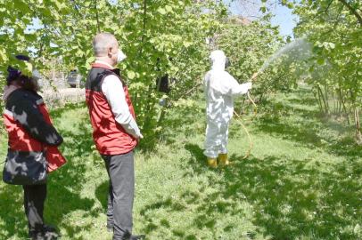 KÜLLEME VE KOZALAK AKARINA KARŞI MÜCADELE BAŞLADI