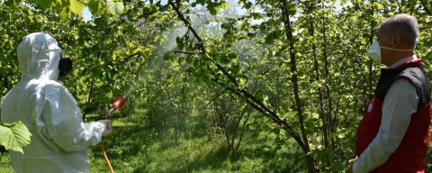 KÜLLEME VE KOZALAK AKARINA KARŞI MÜCADELE BAŞLADI