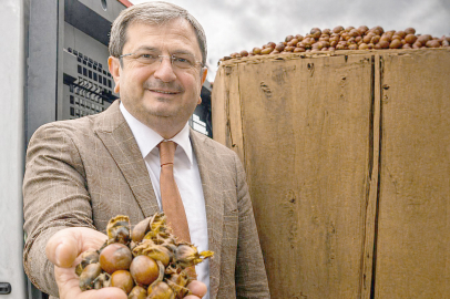 “FINDIKTA TEK EL DÖNEMİ BİTSİN!