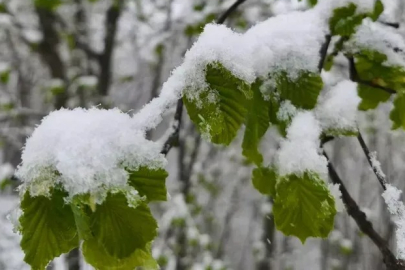 DON TEHLİKESİ KAPIDAN DÖNDÜ!