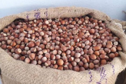 FINDIK 180 TL’YE ÇAKILDI