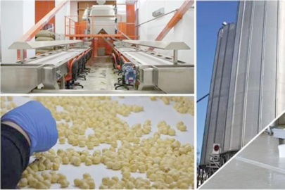 HİBE BAŞVURULARI BAŞLADI