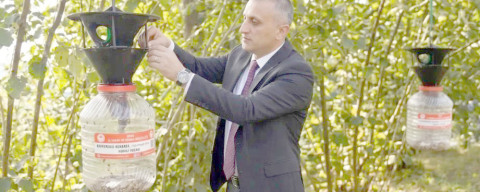 FINDIKTA BÜYÜK OPERASYON BAŞLADI!