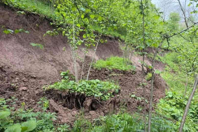 YAMAÇTAN KOPAN TOPRAK FINDIK BAHÇESİNİ VURDU