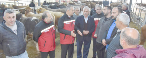 FATSA HAYVAN PAZARINA BAYRAM DENETİMİ