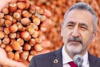 “FINDIKTA OYUN BÜYÜK”
