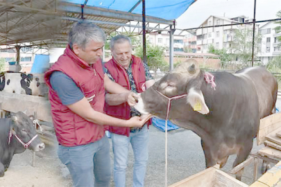 KURBAN BAYRAMI ÖNCESİ KRİTİK UYARI!