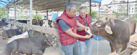 KURBAN BAYRAMI ÖNCESİ KRİTİK UYARI!