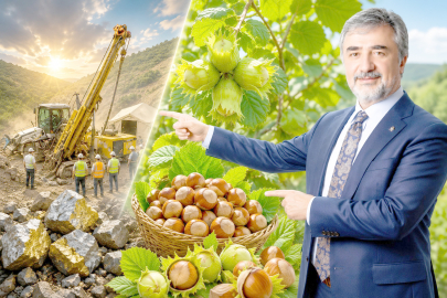 “FINDIK BAŞKA, MADEN BAŞKA!”