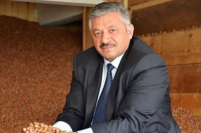 FINDIKTA DÜŞÜŞ ÜRETİCİYİ VURDU