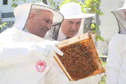 ORDU’DAN İNGİLTERE’YE BAL İHRACATI