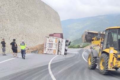 ODUN CİPSİ YÜKLÜ OLAN TIR DEVRİLDİ