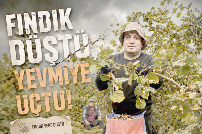 FINDIK DÜŞTÜ, YEVMİYE UÇTU!