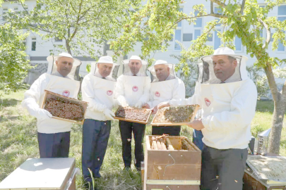 ARICILARA 80 BAL SÜZME MAKİNESİ DAĞITILACAK
