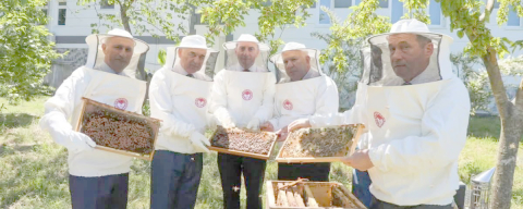 ARICILARA 80 BAL SÜZME MAKİNESİ DAĞITILACAK