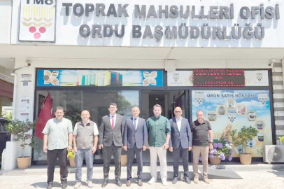FINDIKTA KRİTİK SÜREÇ BAŞLADI