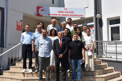 FINDIK REKOLTESİ İÇİN KRİTİK SÜREÇ BAŞLADI