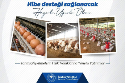 TKDK ON İKİNCİ BAŞVURU ÇAĞRI İLANINA ÇIKTI